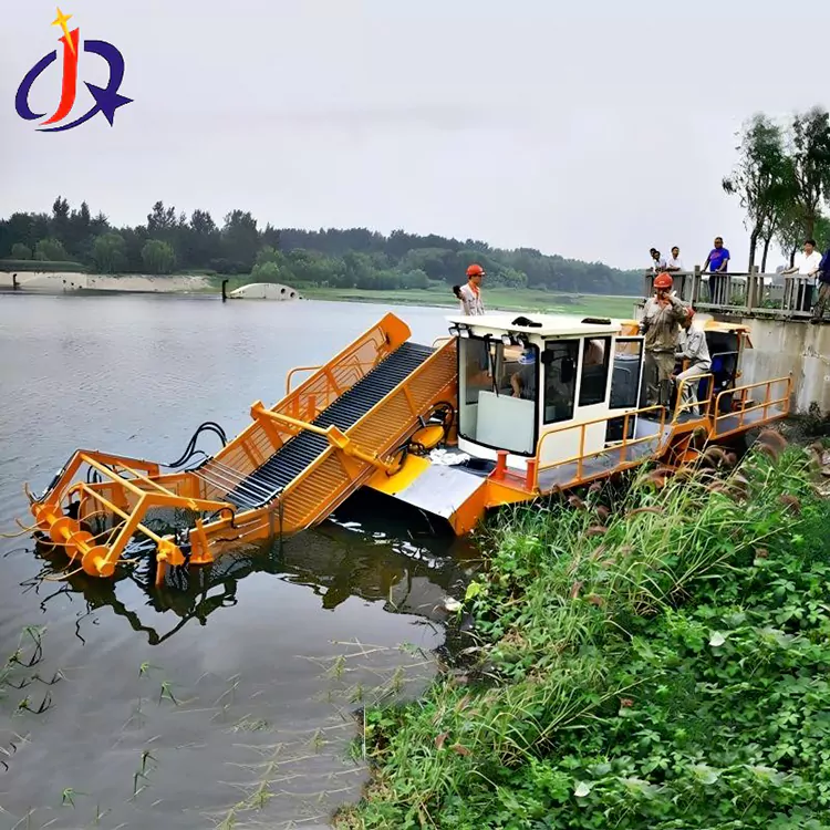 Hyacinthus et Duckweed dromonem cymba